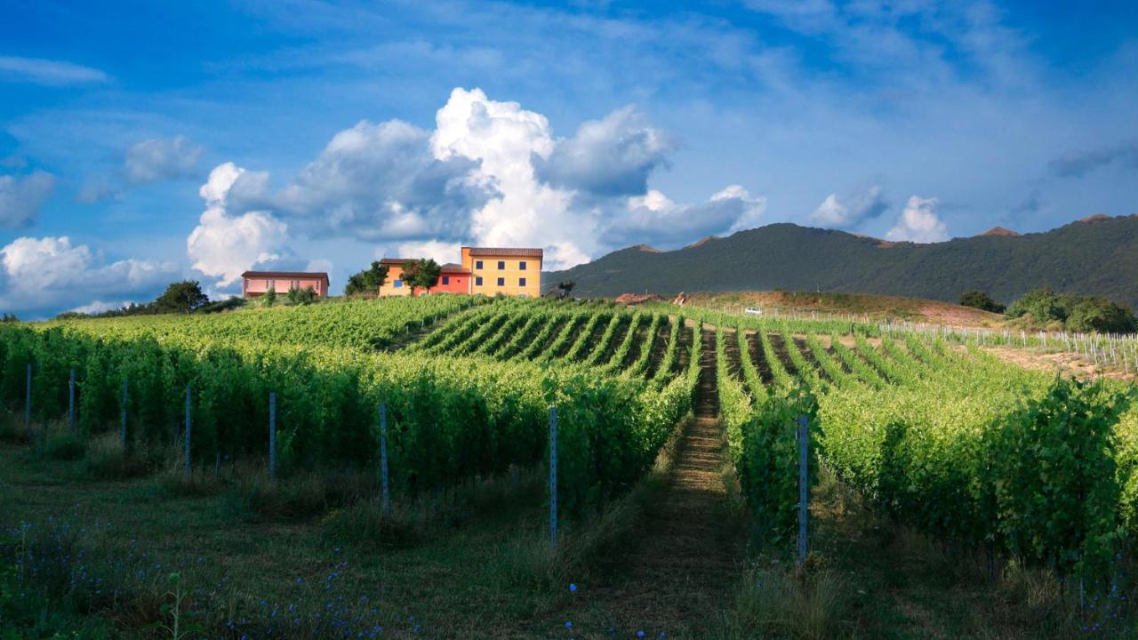 Tenuta Grimaldi Wine Resort ماتيليكا المظهر الخارجي الصورة