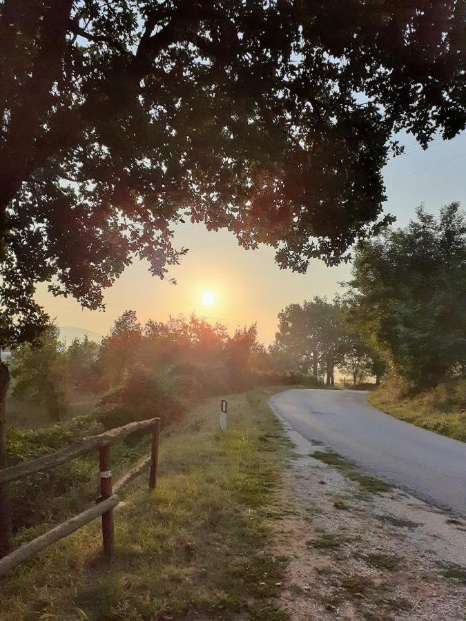 Tenuta Grimaldi Wine Resort ماتيليكا المظهر الخارجي الصورة
