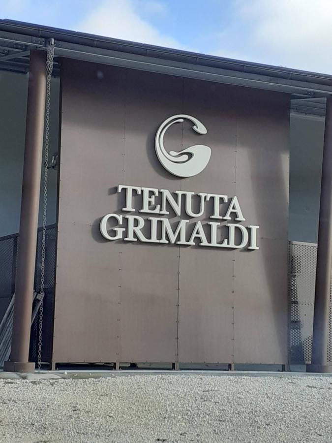 Tenuta Grimaldi Wine Resort ماتيليكا المظهر الخارجي الصورة